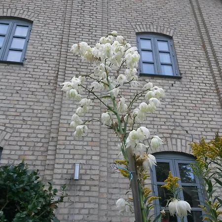Skelstrupgaard Apartments Maribo Zewnętrze zdjęcie