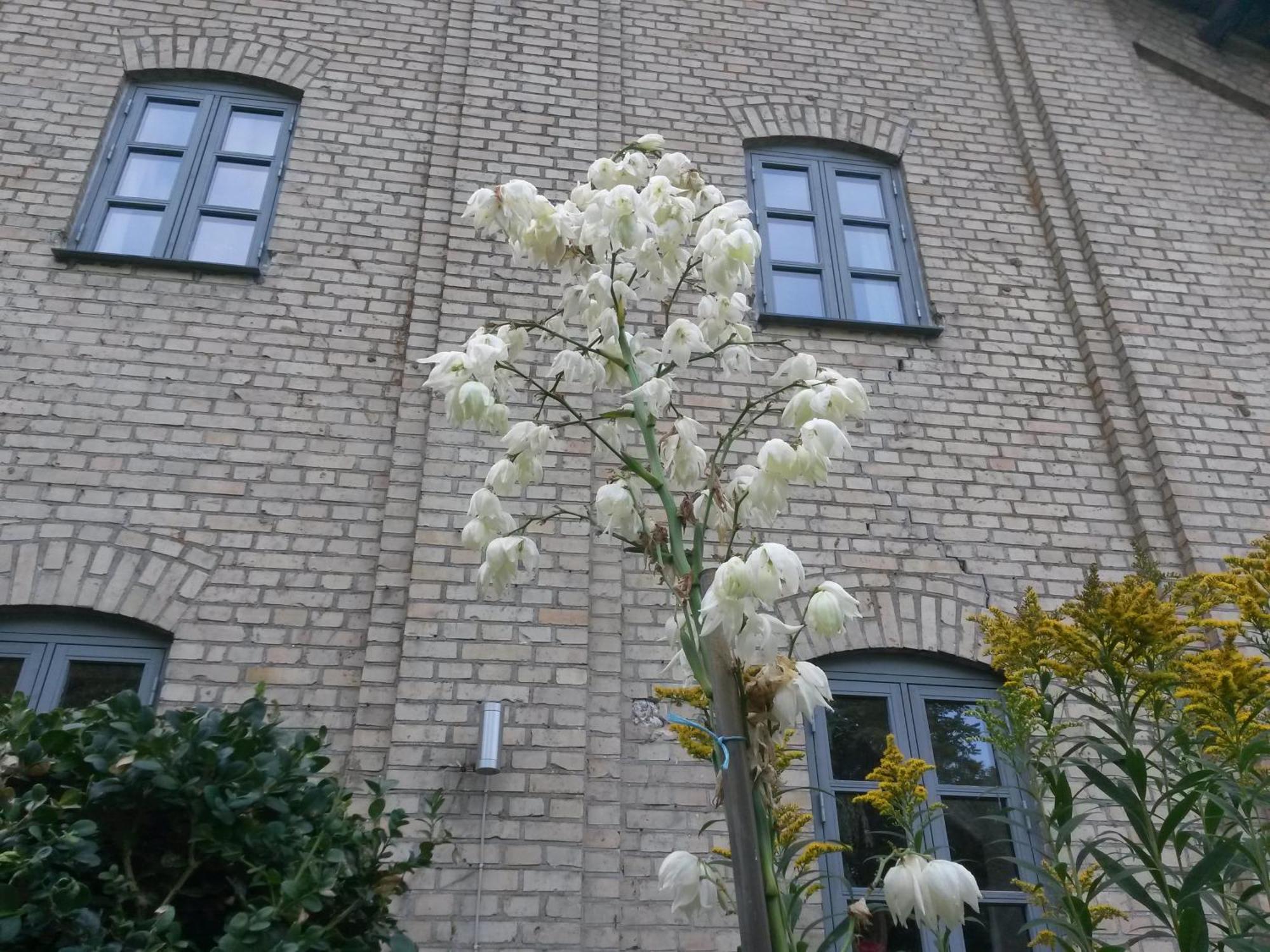 Skelstrupgaard Apartments Maribo Zewnętrze zdjęcie