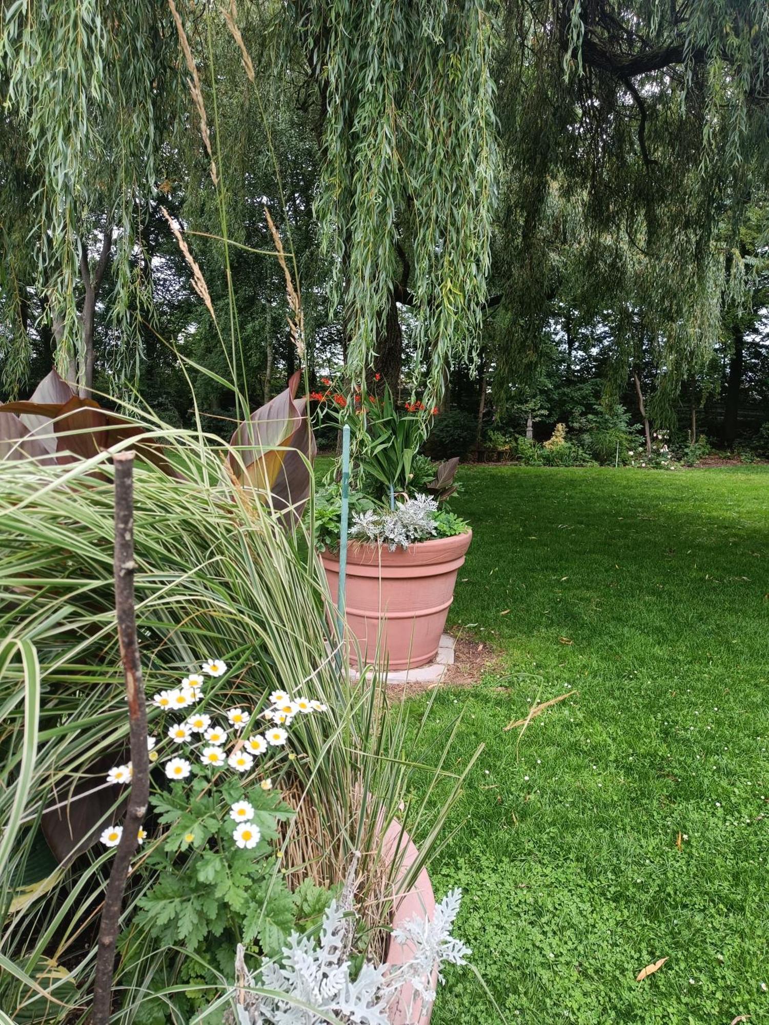 Skelstrupgaard Apartments Maribo Zewnętrze zdjęcie