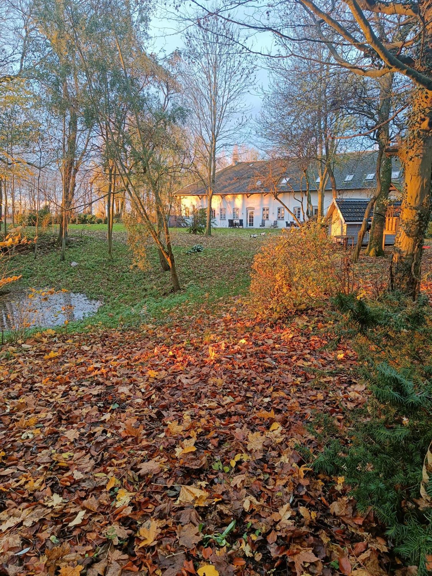 Skelstrupgaard Apartments Maribo Zewnętrze zdjęcie