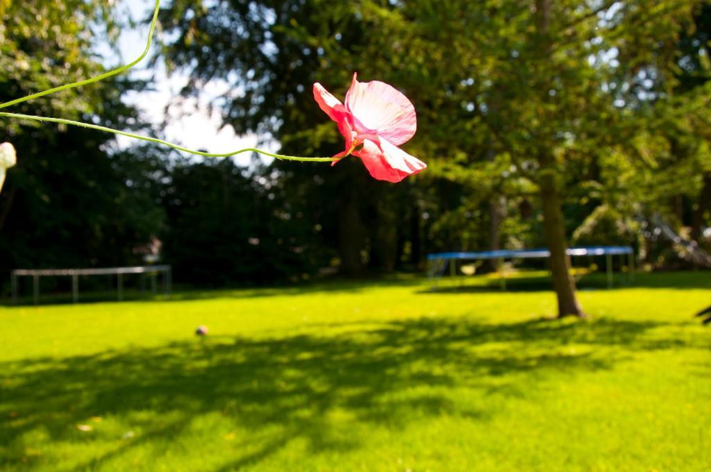 Skelstrupgaard Apartments Maribo Zewnętrze zdjęcie