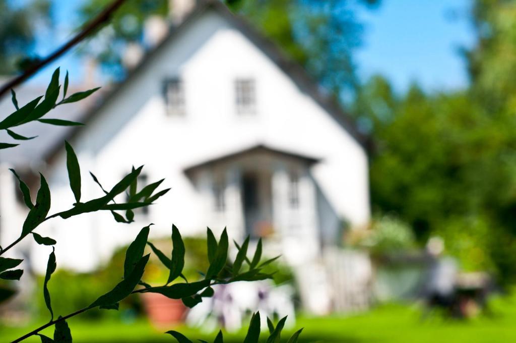Skelstrupgaard Apartments Maribo Zewnętrze zdjęcie