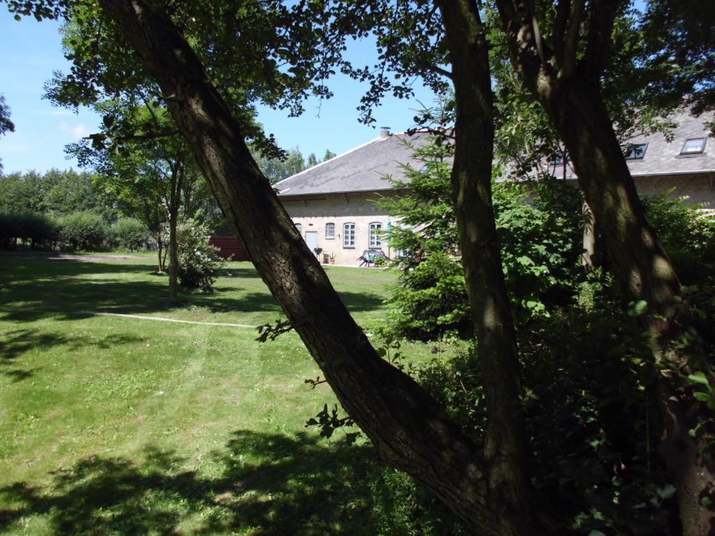 Skelstrupgaard Apartments Maribo Zewnętrze zdjęcie